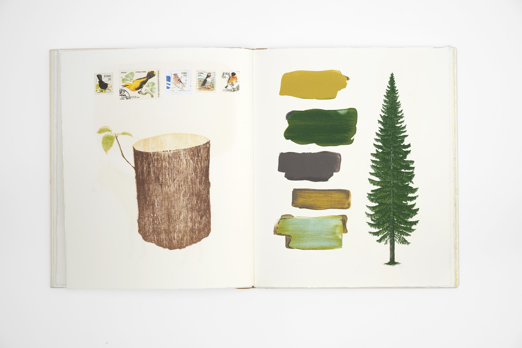 Know Your Trees