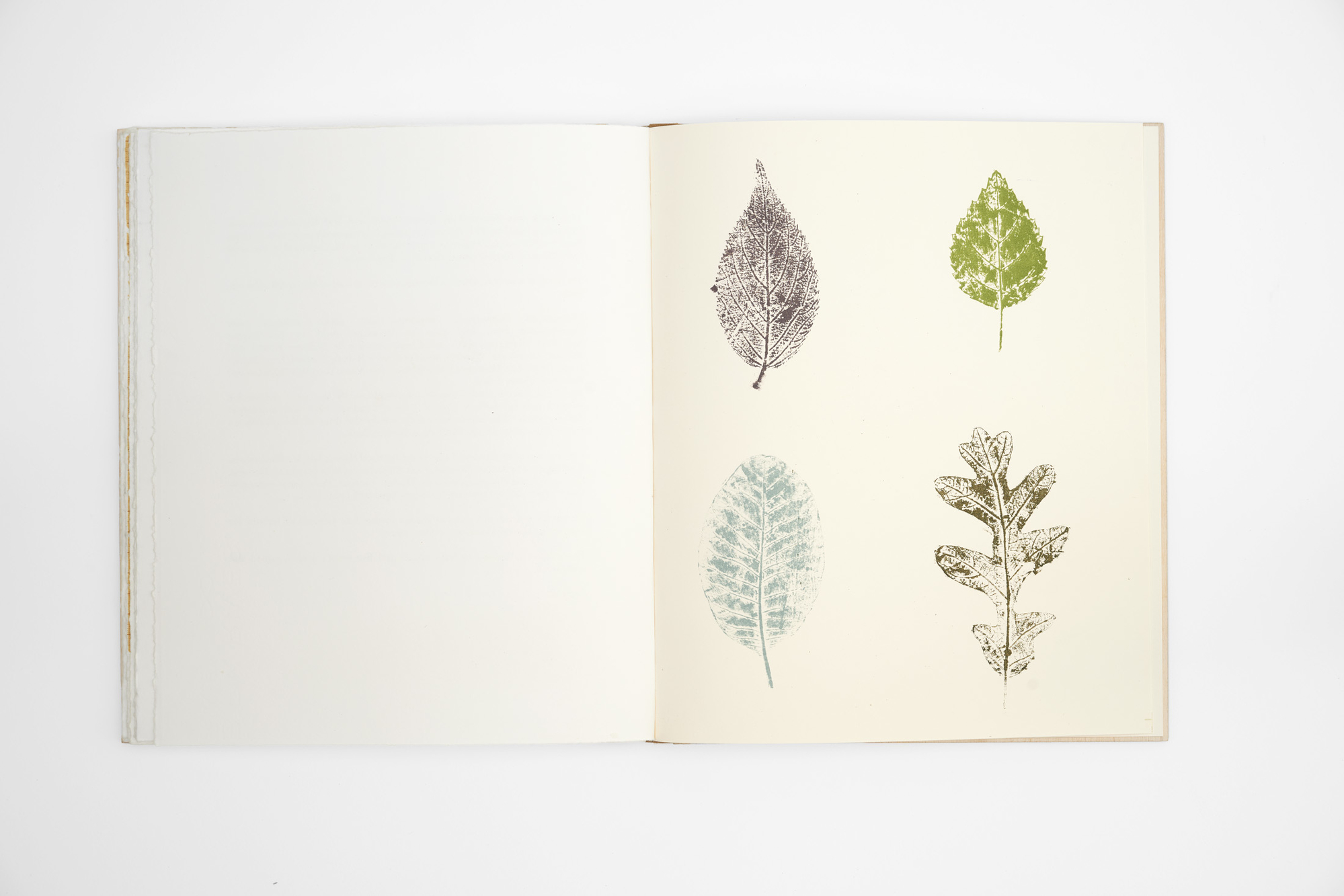 Know Your Trees