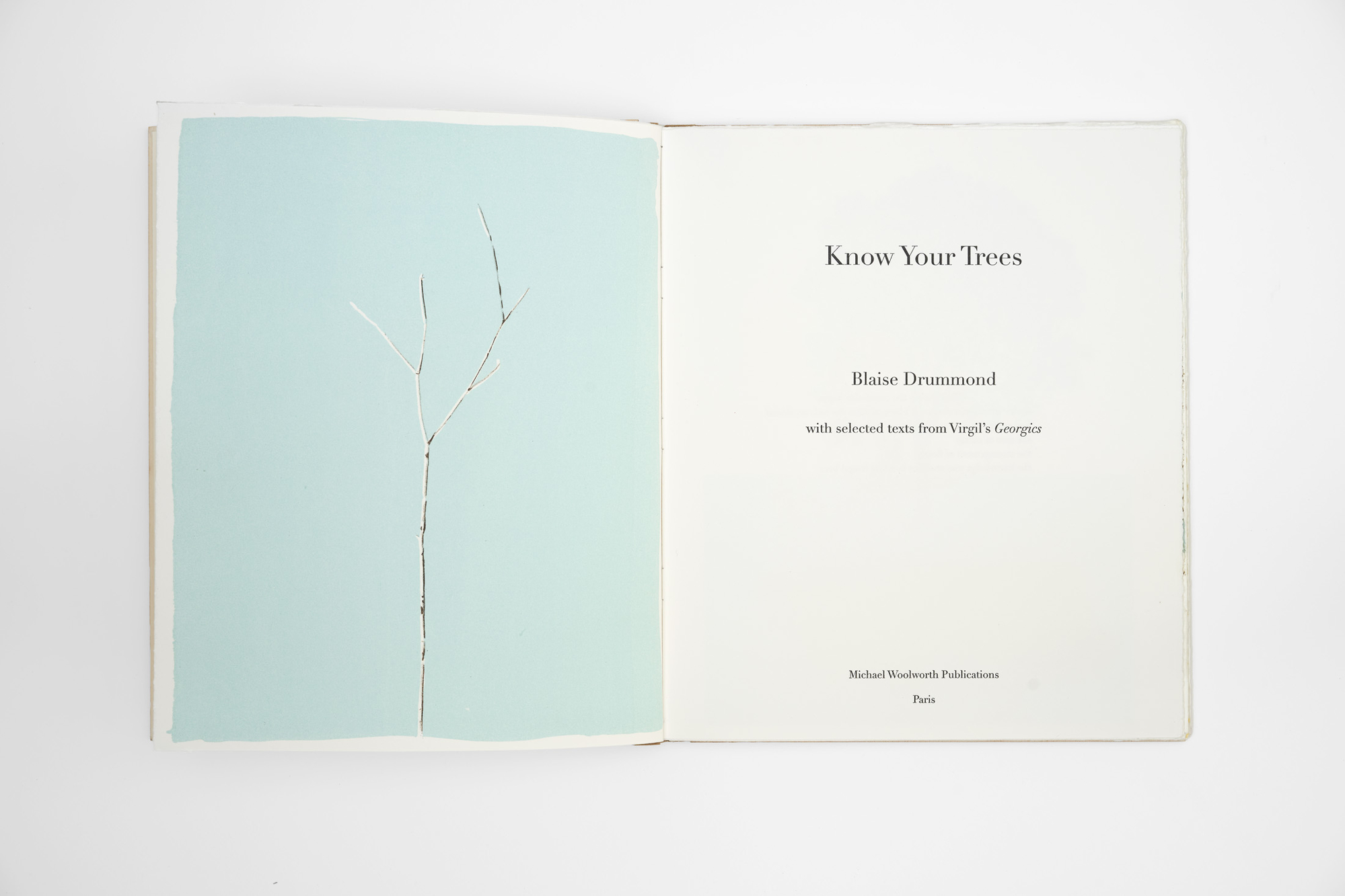 Know Your Trees