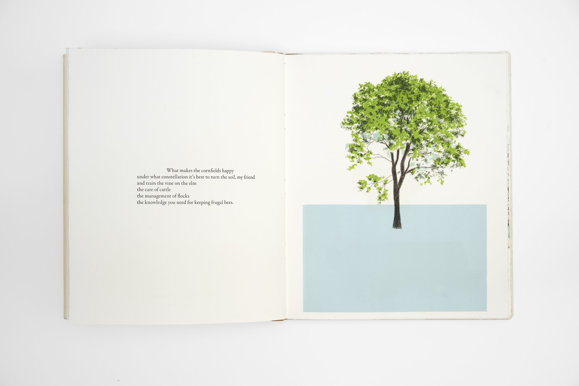 Know Your Trees