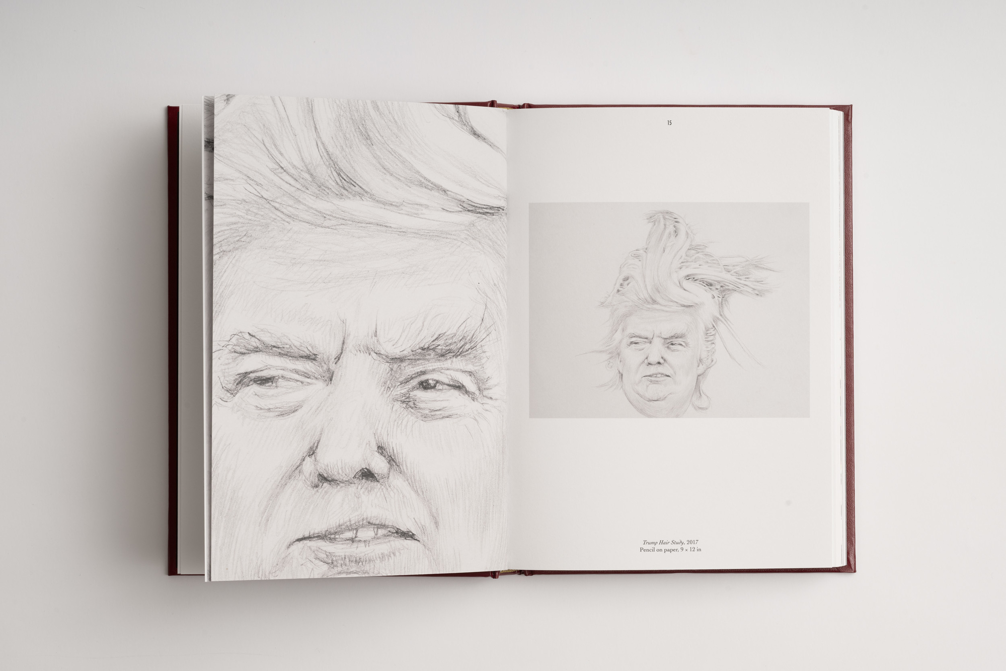 Jim Shaw, The End Really is Here!