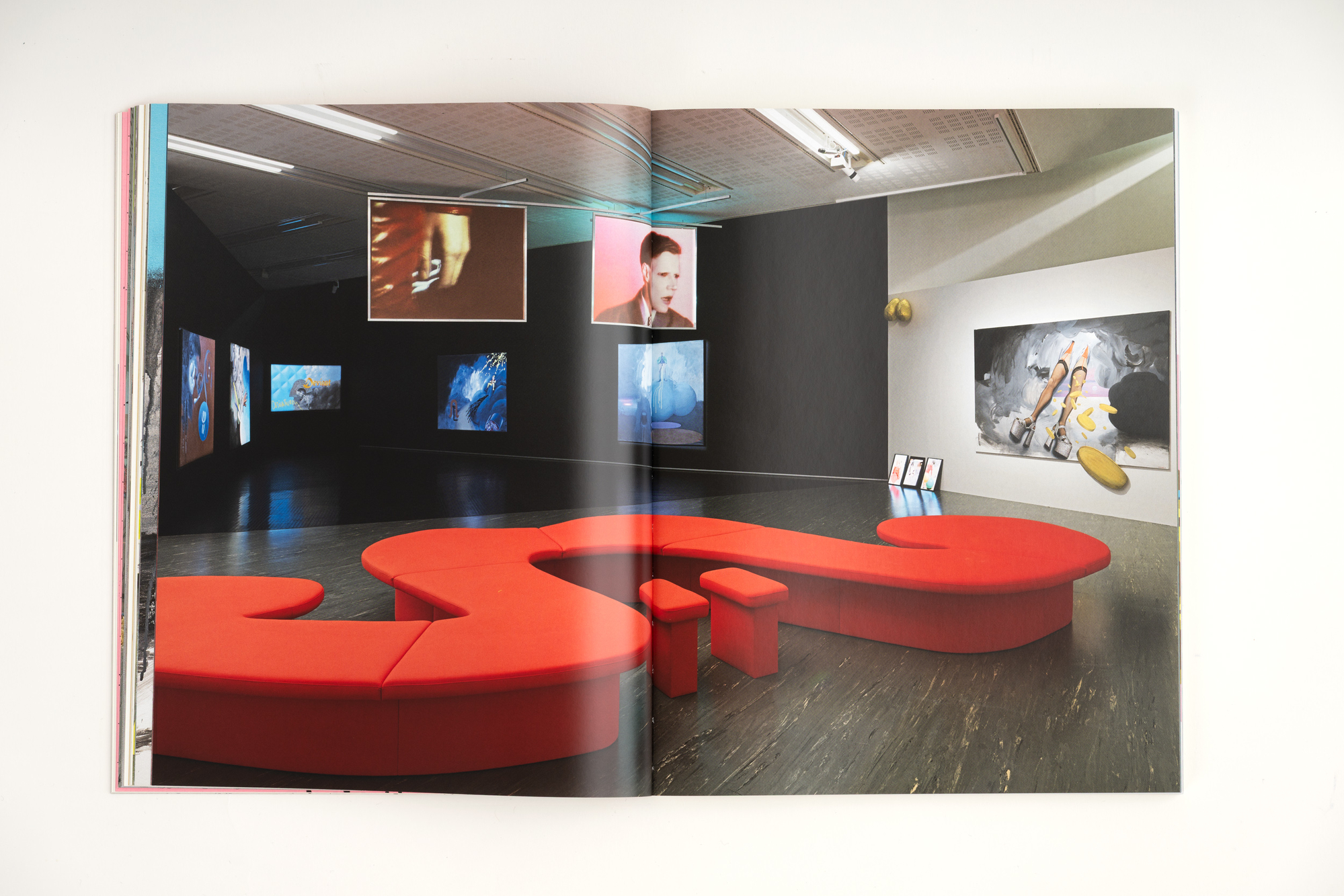 Ashley Hans Scheirl. In & Out of Painting*