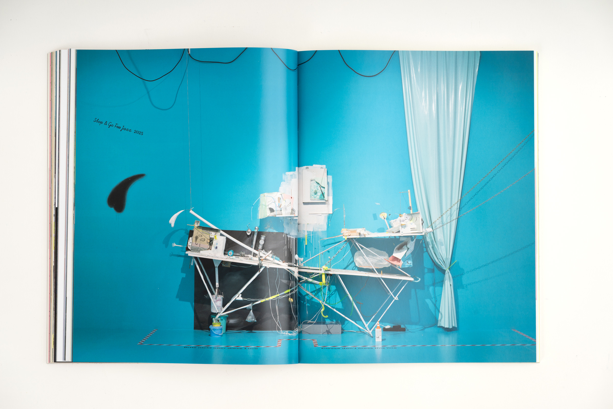 Ashley Hans Scheirl. In & Out of Painting*