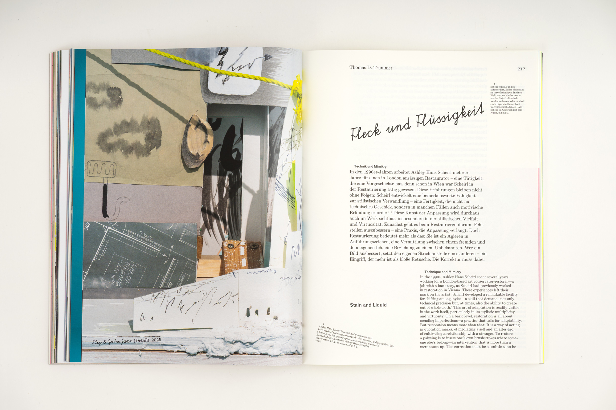 Ashley Hans Scheirl. In & Out of Painting*