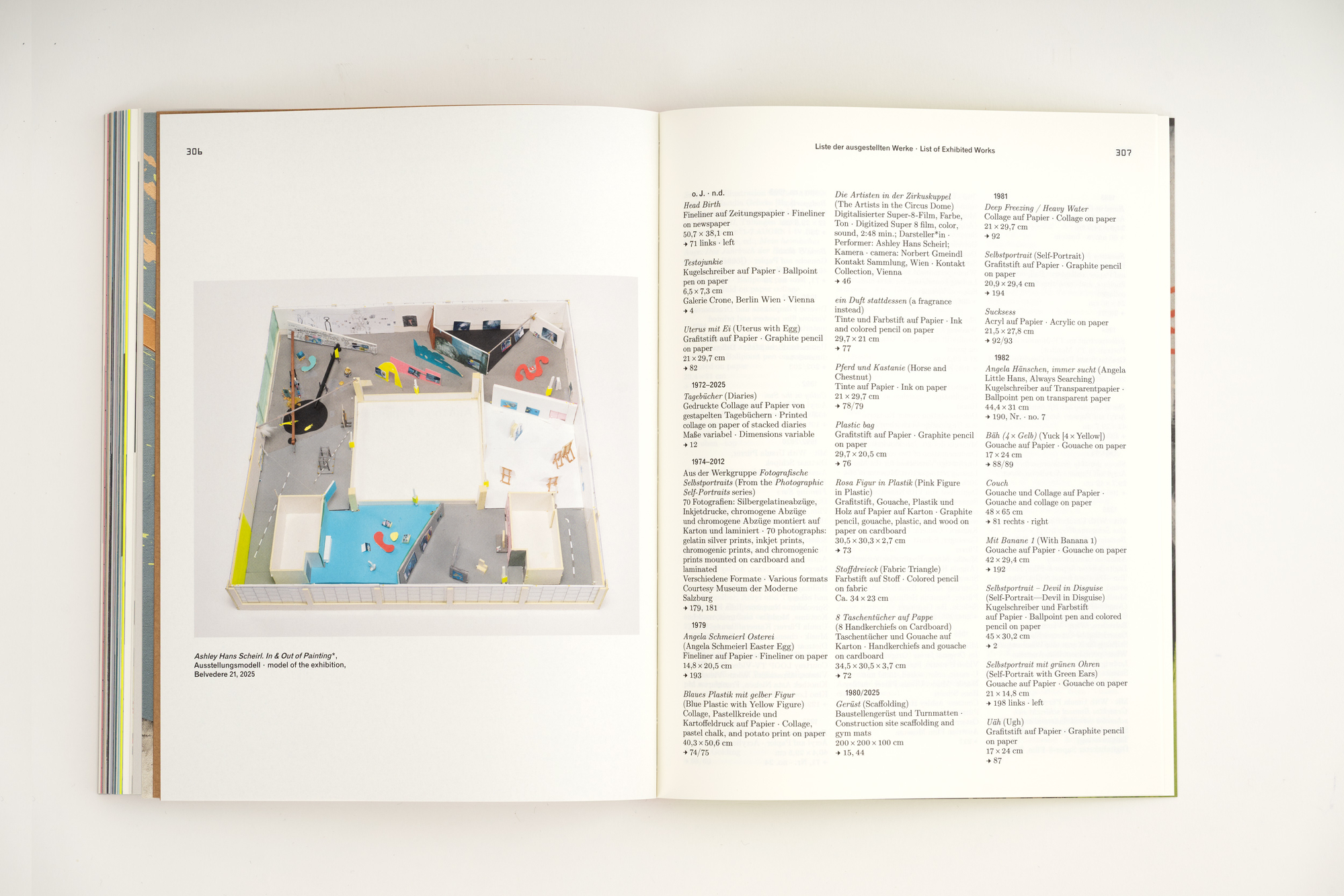 Ashley Hans Scheirl. In & Out of Painting*