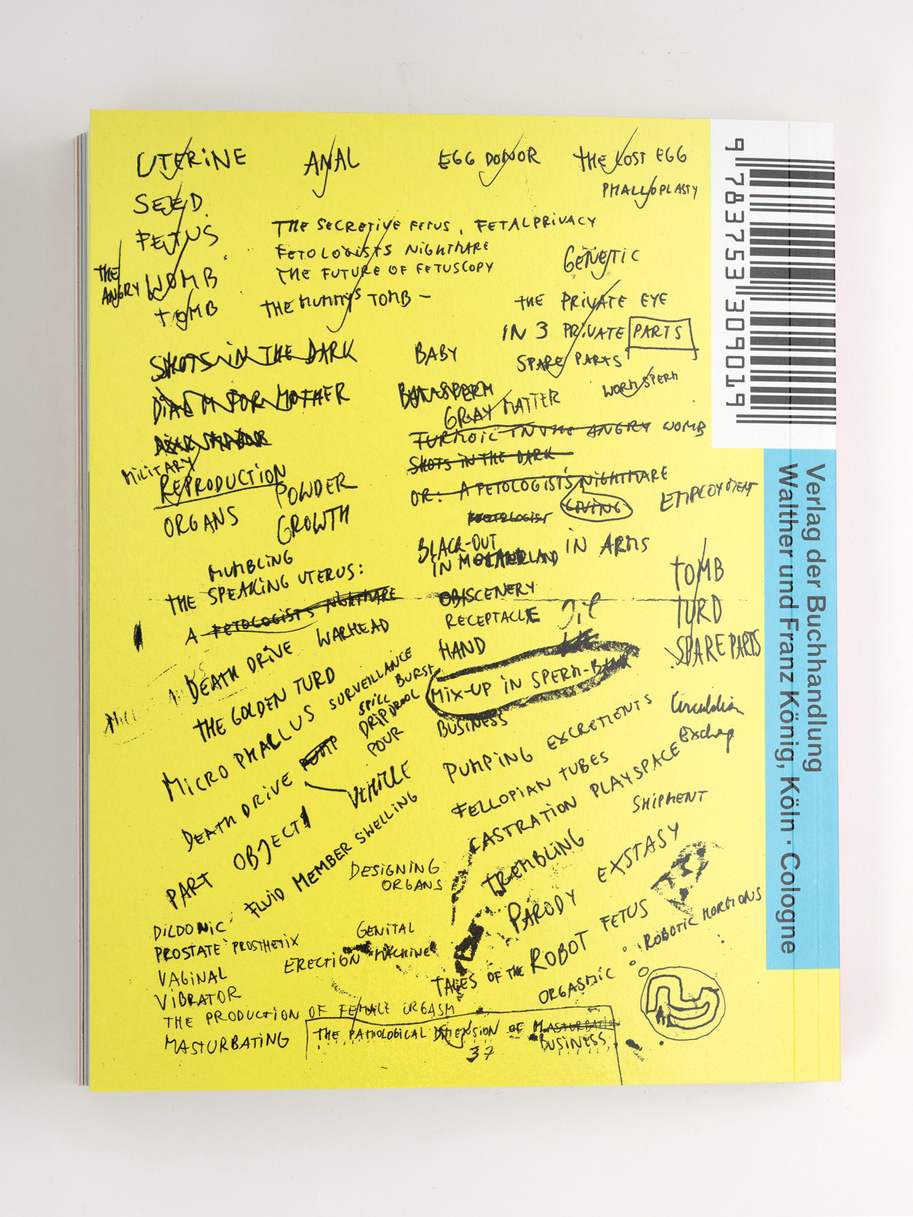 Ashley Hans Scheirl. In & Out of Painting*