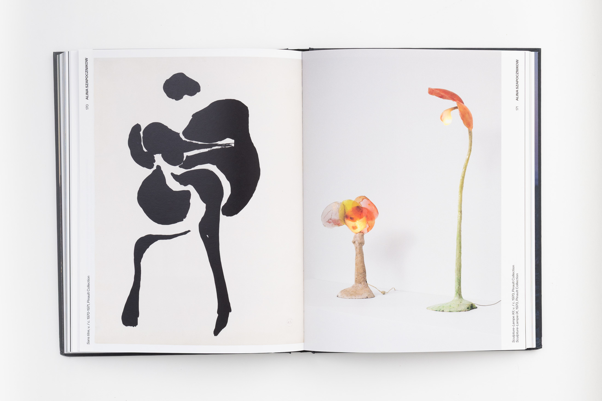 Clair-obscur, Pinault Collection