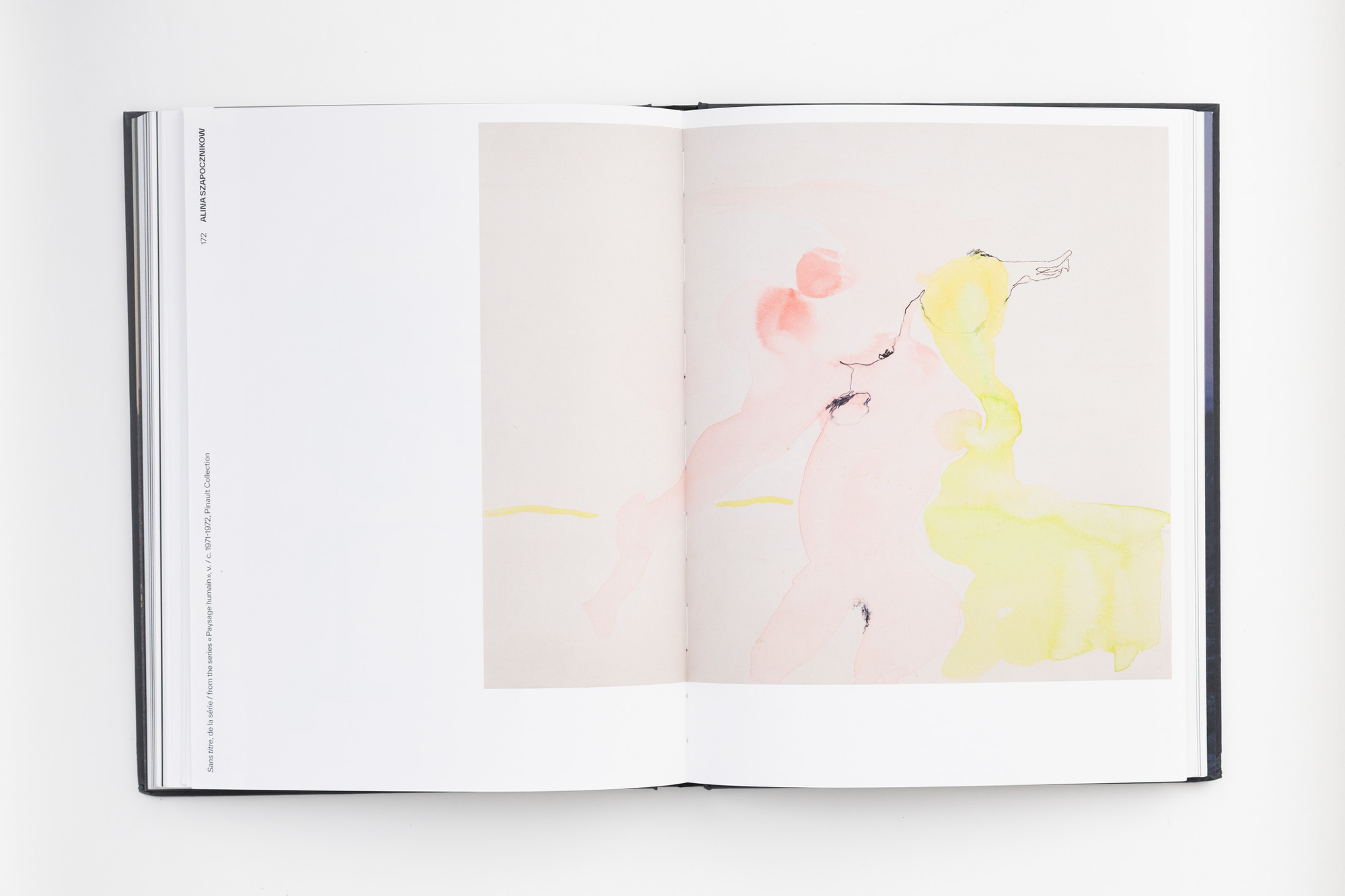 Clair-obscur, Pinault Collection